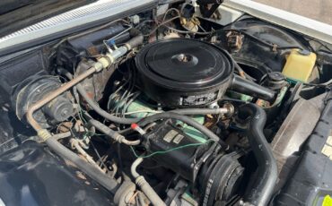 Buick-Electra-225-1965-Other-15