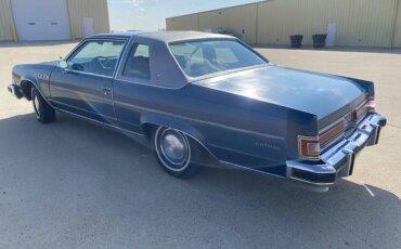 Buick-Electra-coupe-1978-Blue-Blue-11