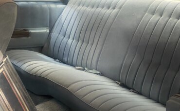 Buick-Electra-coupe-1978-Blue-Blue-16