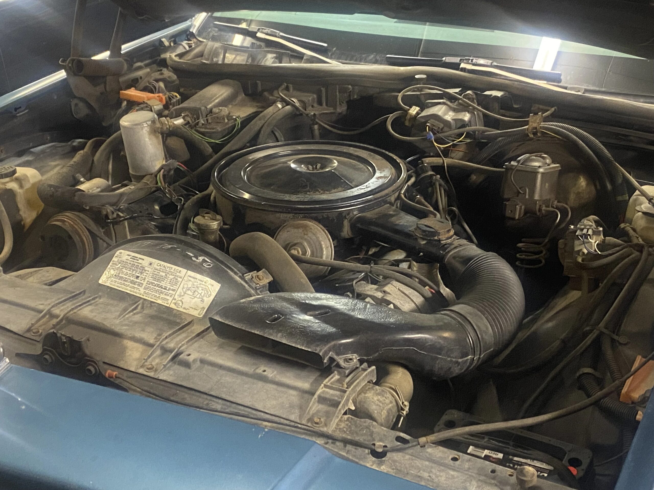 Buick-Electra-coupe-1978-Blue-Blue-18
