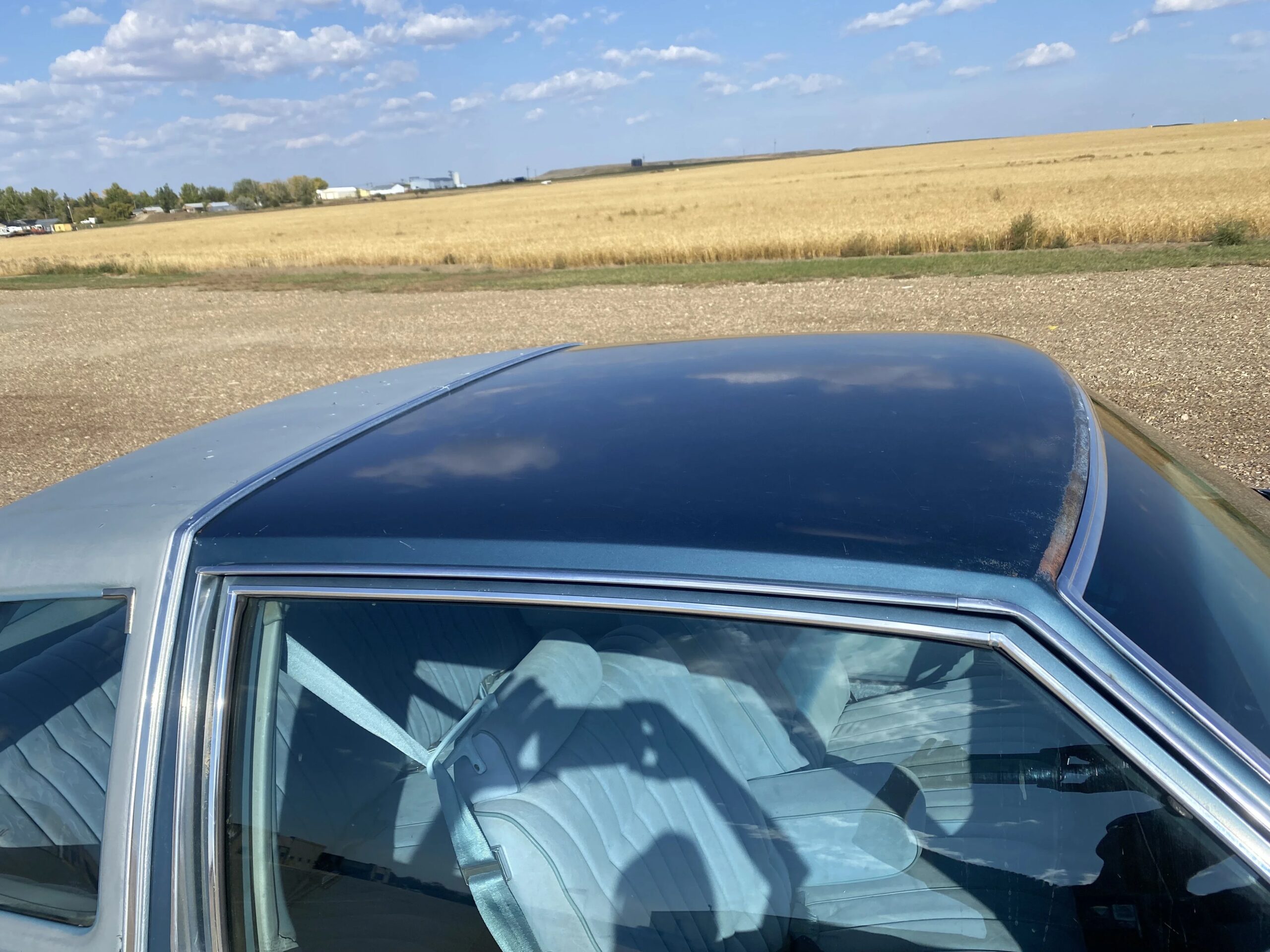 Buick-Electra-coupe-1978-Blue-Blue-5