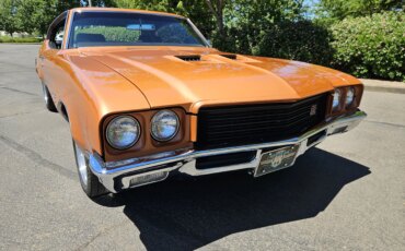 Buick-Gran-sport-1971-Black-10