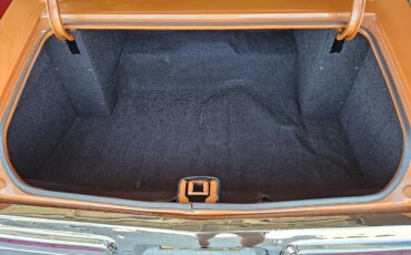 Buick-Gran-sport-1971-Black-6