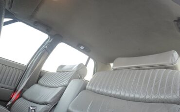 Buick-Park-Avenue-1994-Sedan-9
