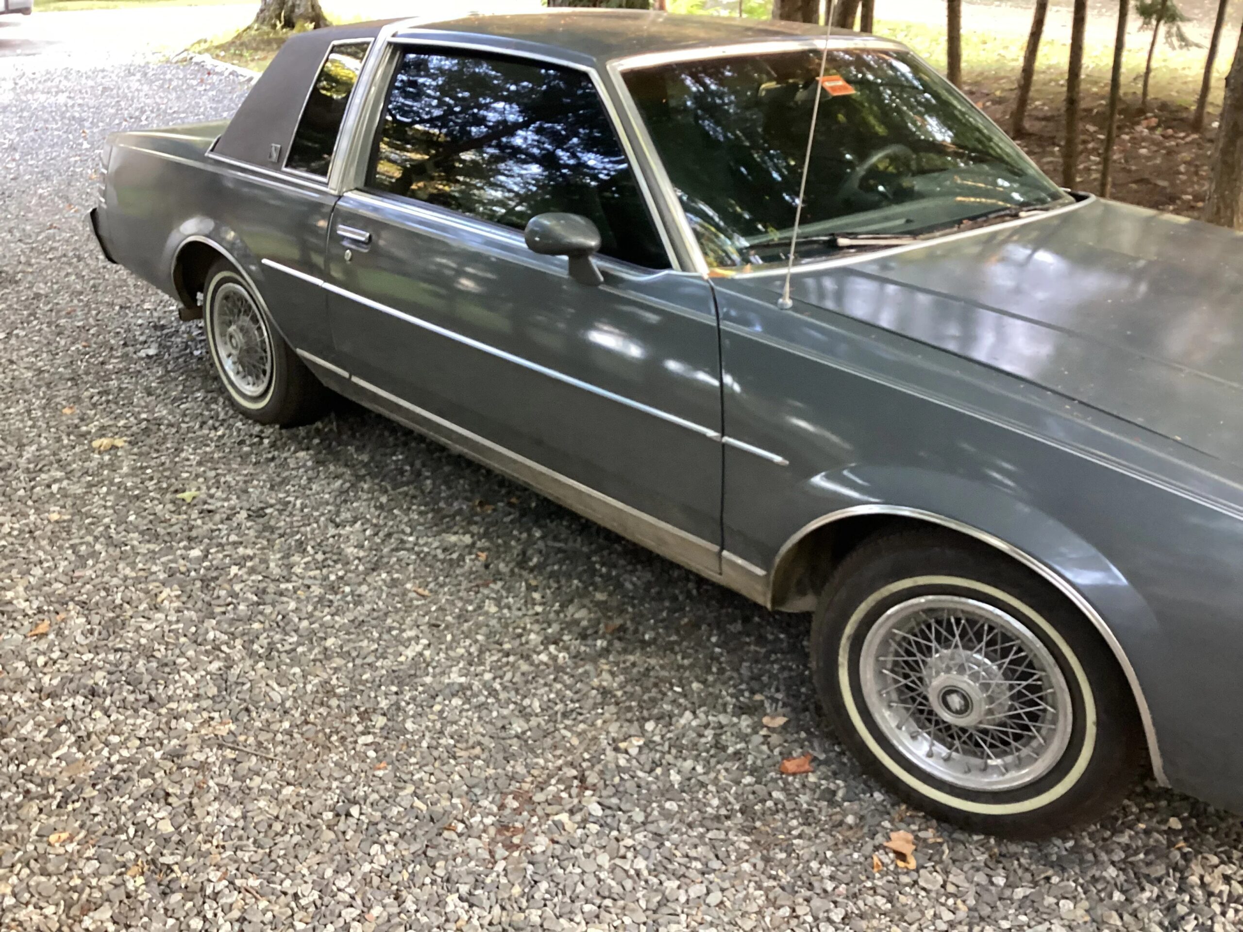 Buick-Regal-limited-coupe-1985-Gray-Gray-1