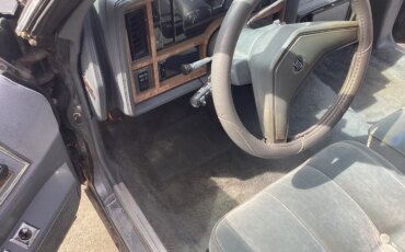 Buick-Regal-limited-coupe-1985-Gray-Gray-15