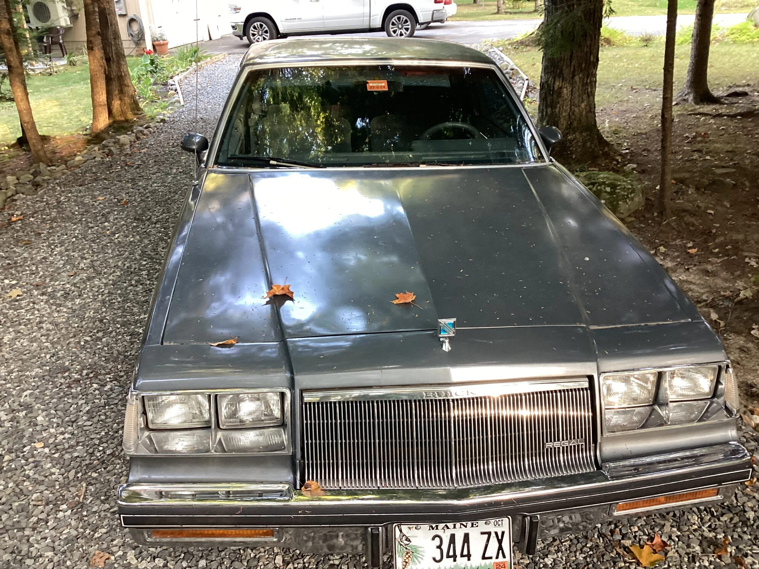 Buick-Regal-limited-coupe-1985-Gray-Gray-3