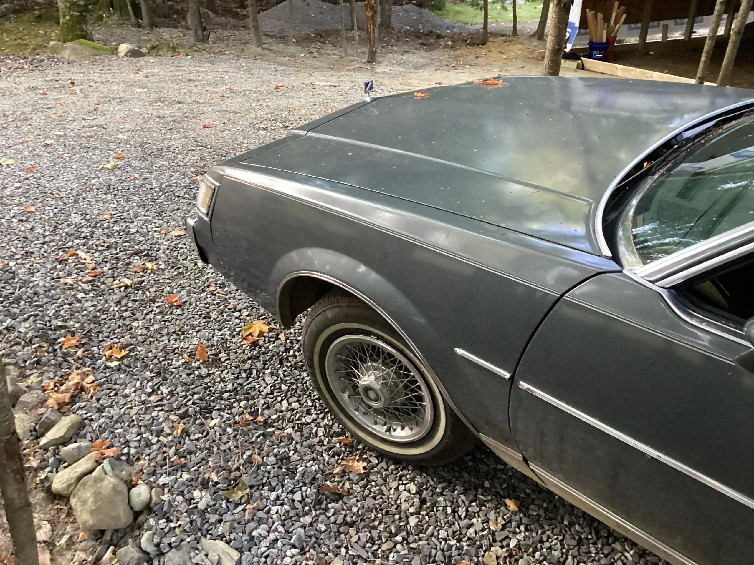 Buick-Regal-limited-coupe-1985-Gray-Gray-4