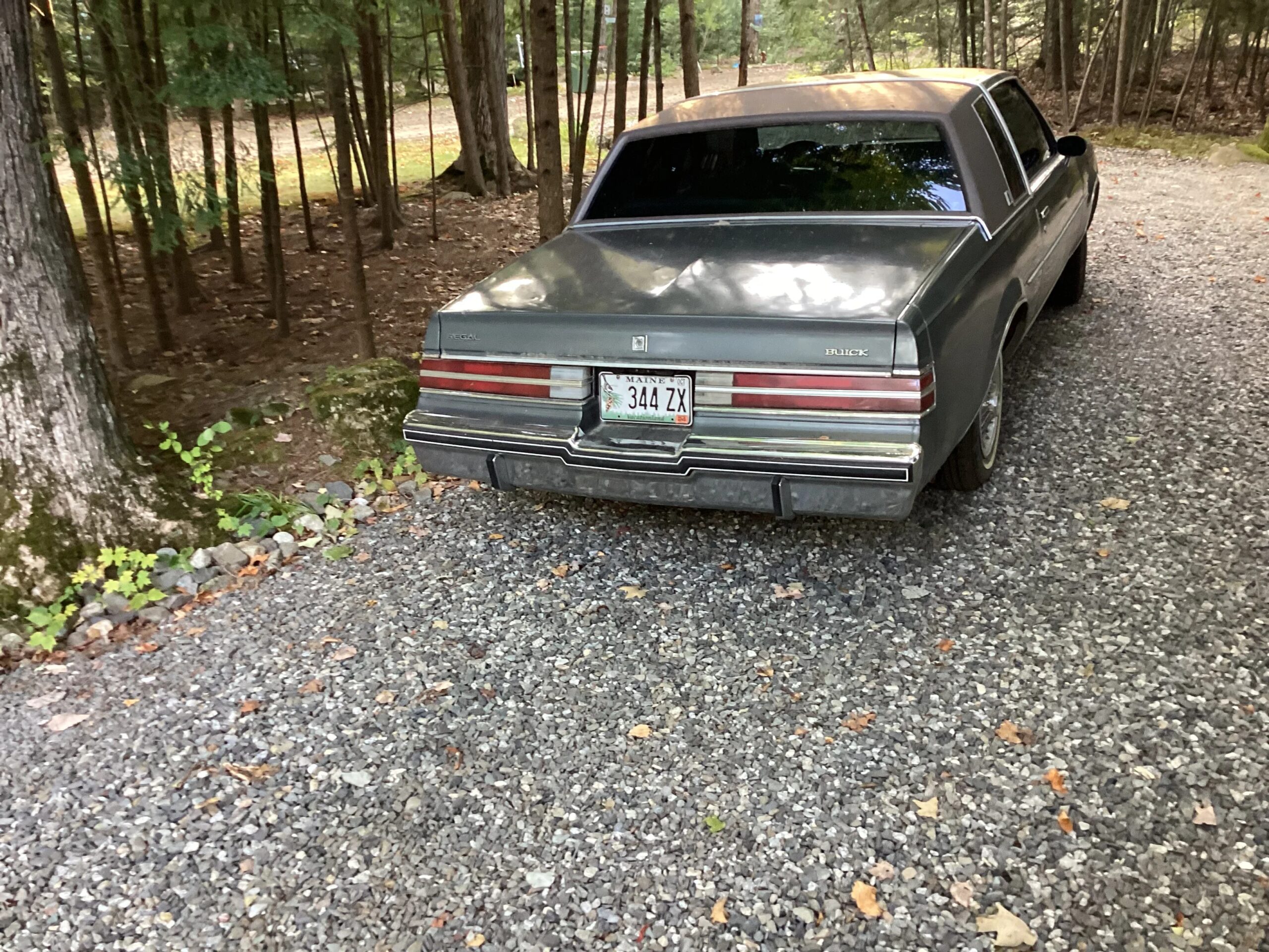 Buick-Regal-limited-coupe-1985-Gray-Gray-6