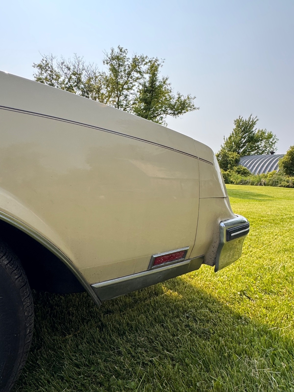 Buick-Riviera-1979-Coupe-8