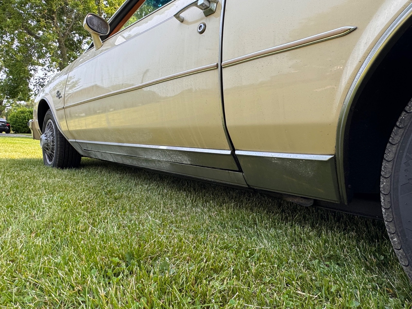 Buick-Riviera-1979-Coupe-9