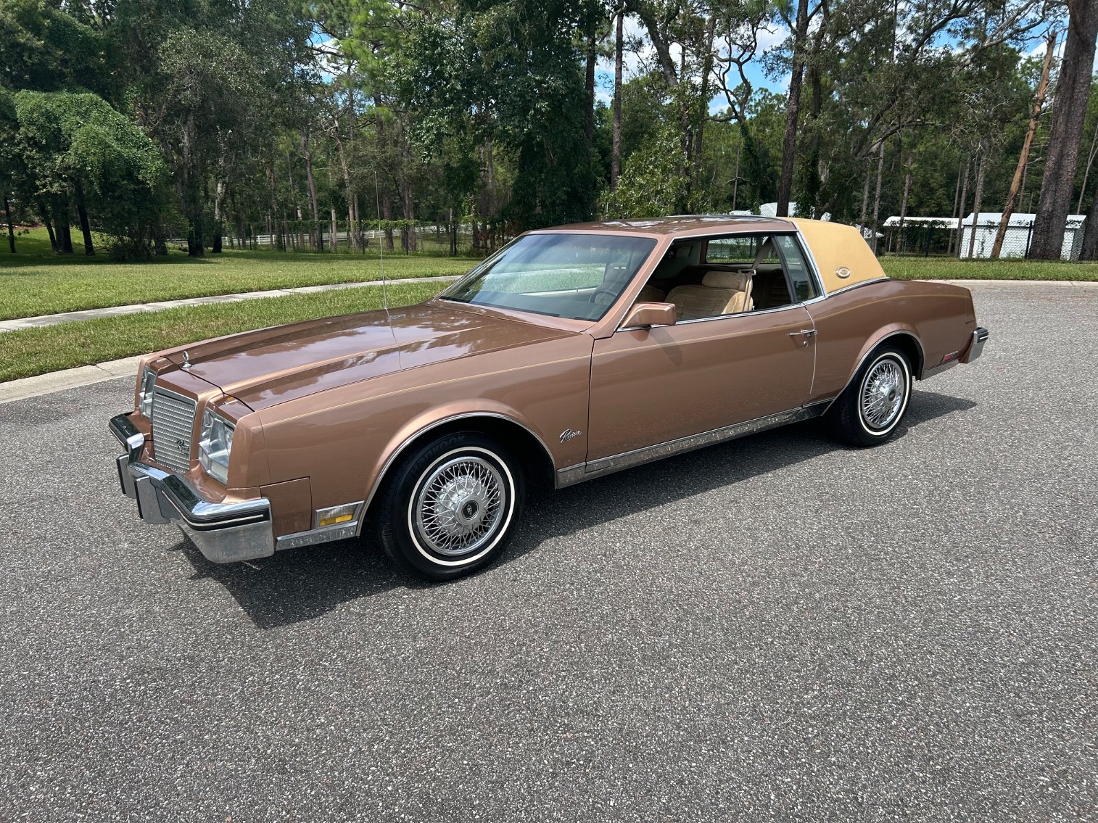 Buick-Riviera-1982-Coupe-19