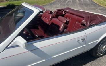Buick-Riviera-convertible-1984-White-Burgundy-7