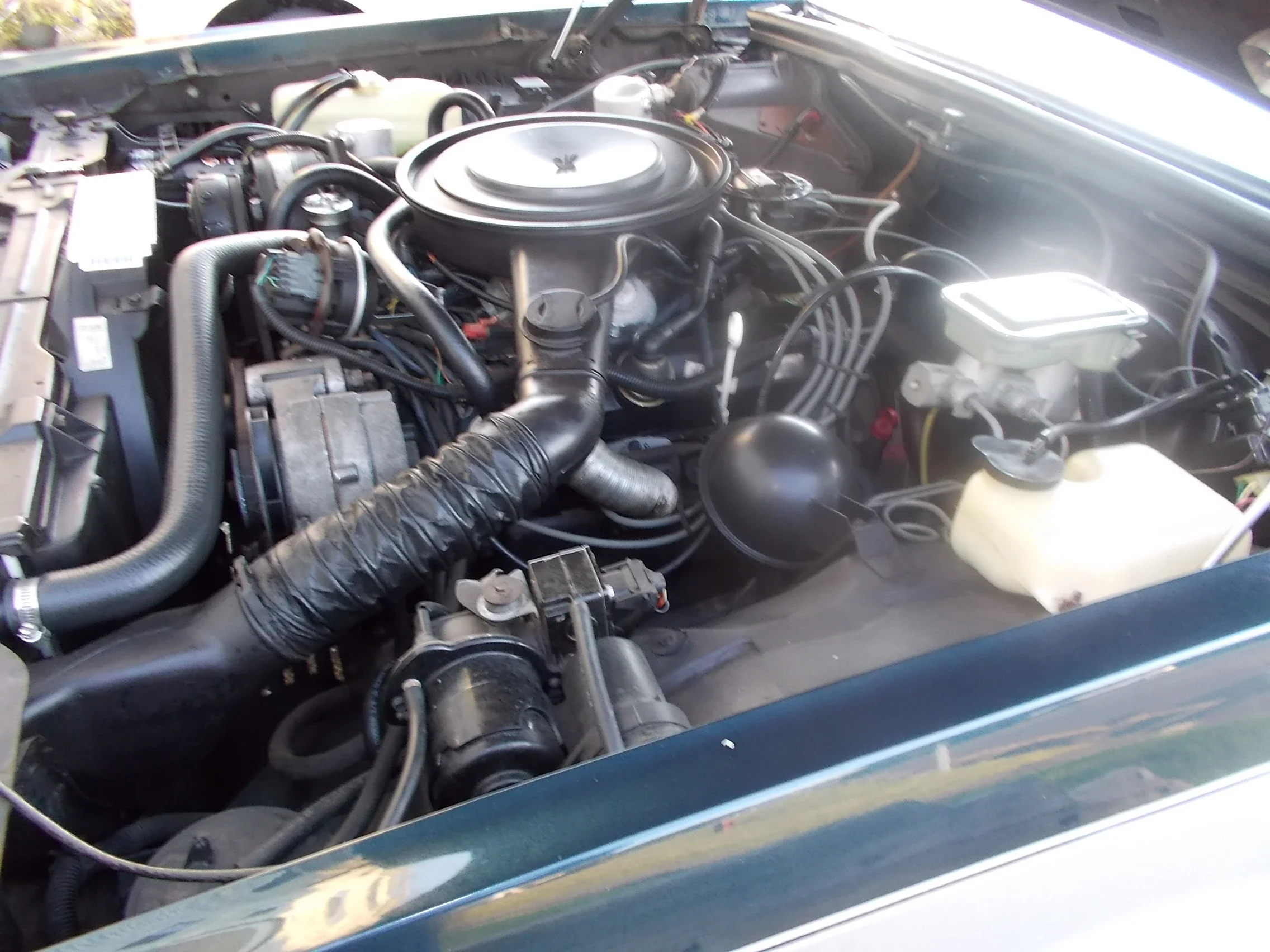 Buick-Riviera-coupe-1985-Blue-Blue-19