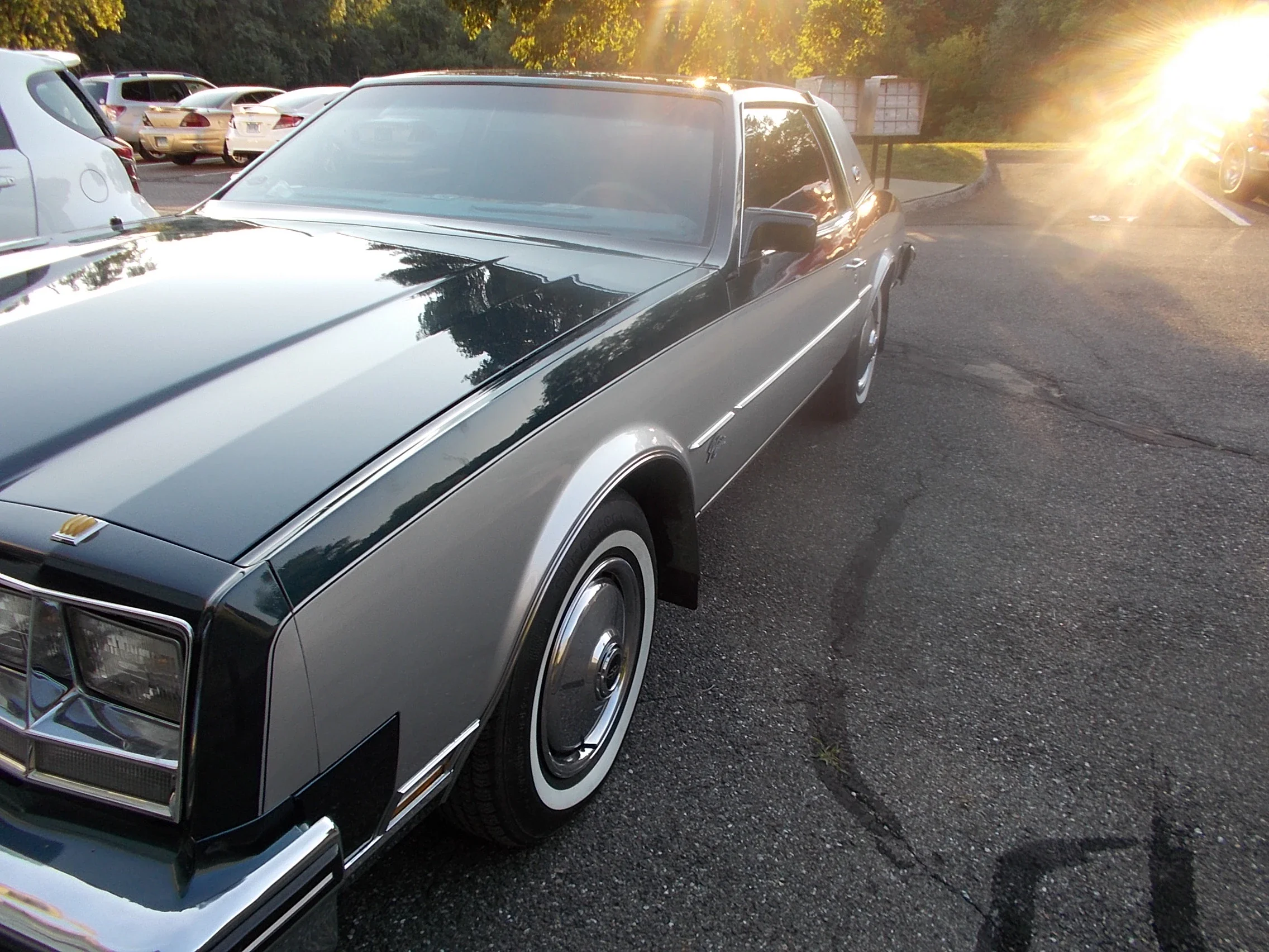 Buick-Riviera-coupe-1985-Blue-Blue-5