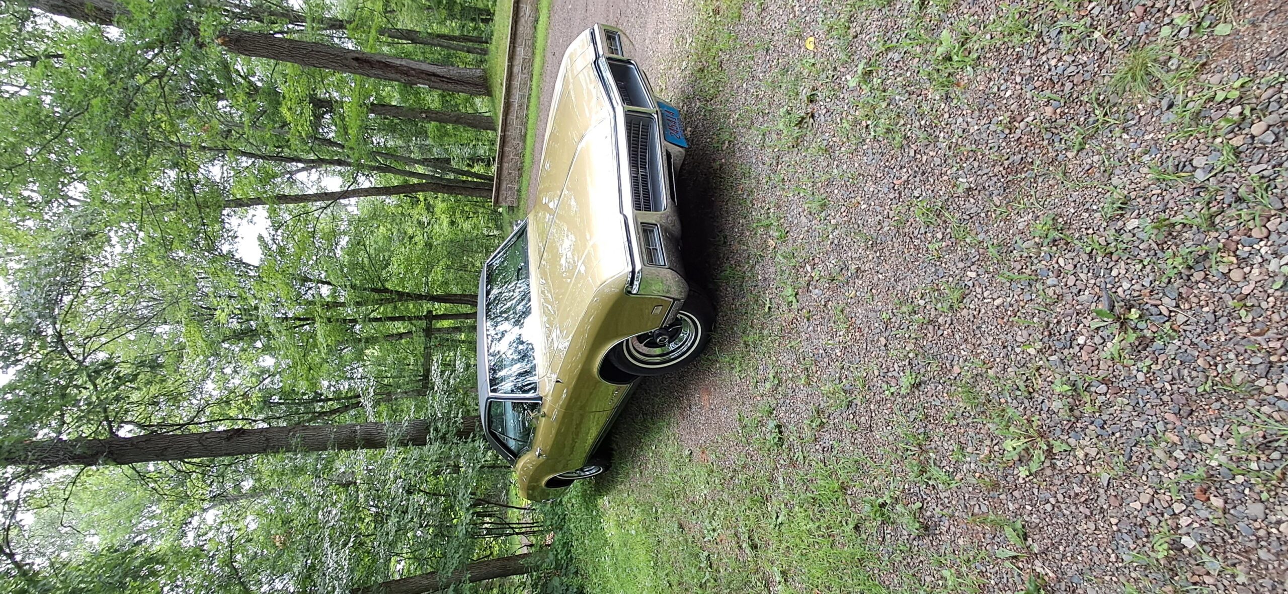 Buick-Riviera-gran-sport-1969-Gold-Black-1