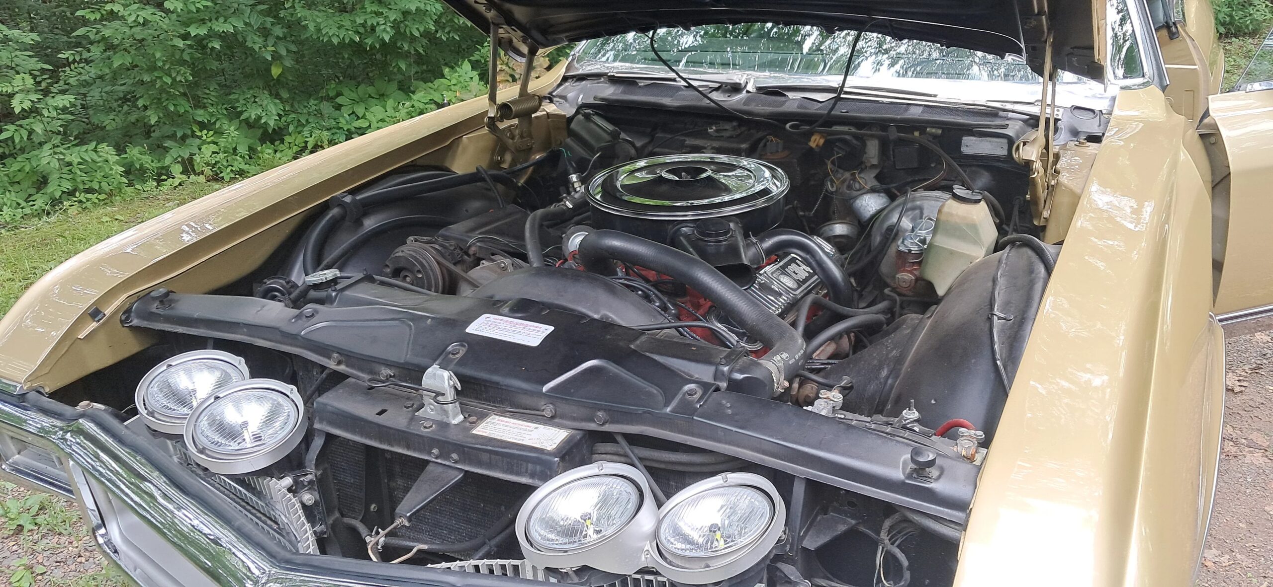 Buick-Riviera-gran-sport-1969-Gold-Black-11