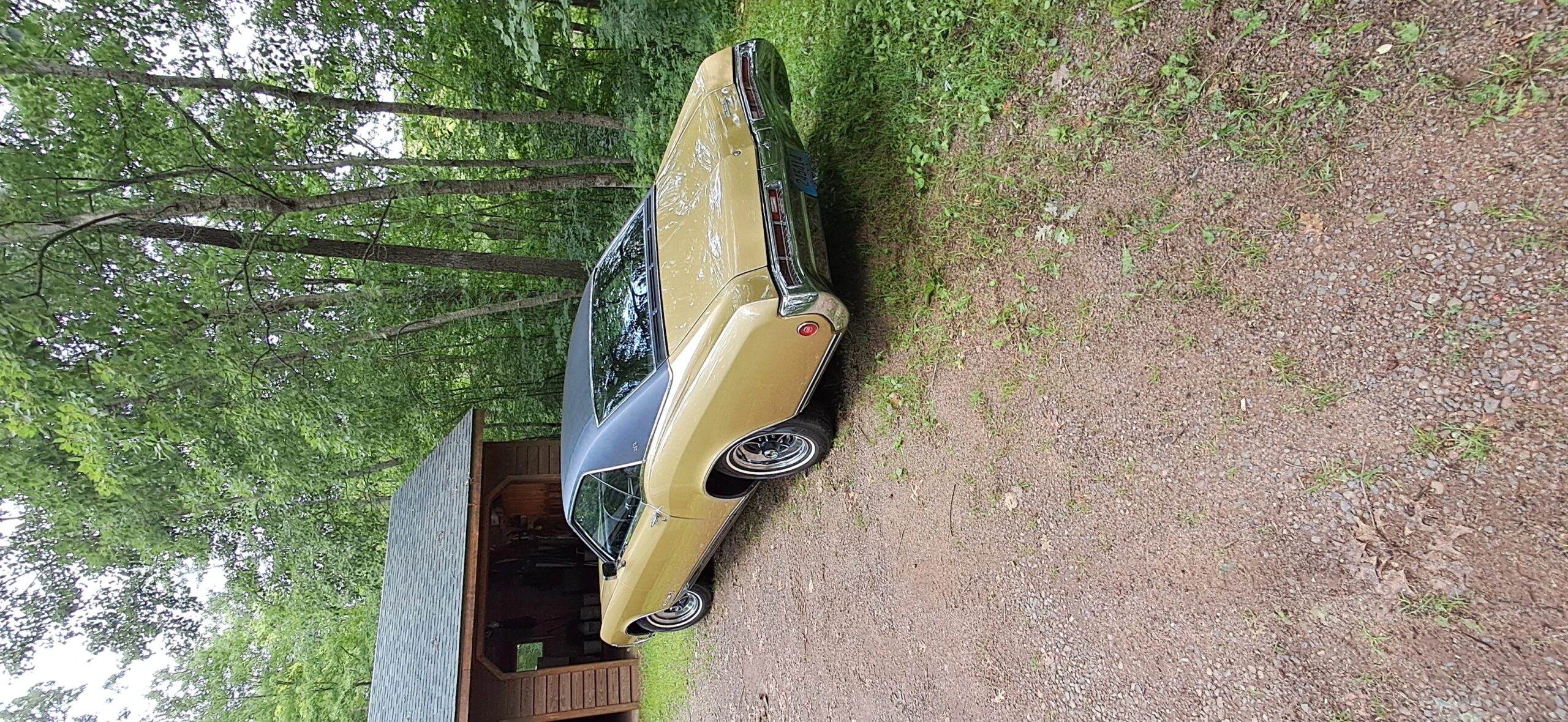 Buick-Riviera-gran-sport-1969-Gold-Black-2