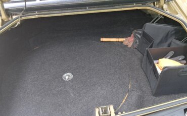 Buick-Riviera-gran-sport-1969-Gold-Black-9