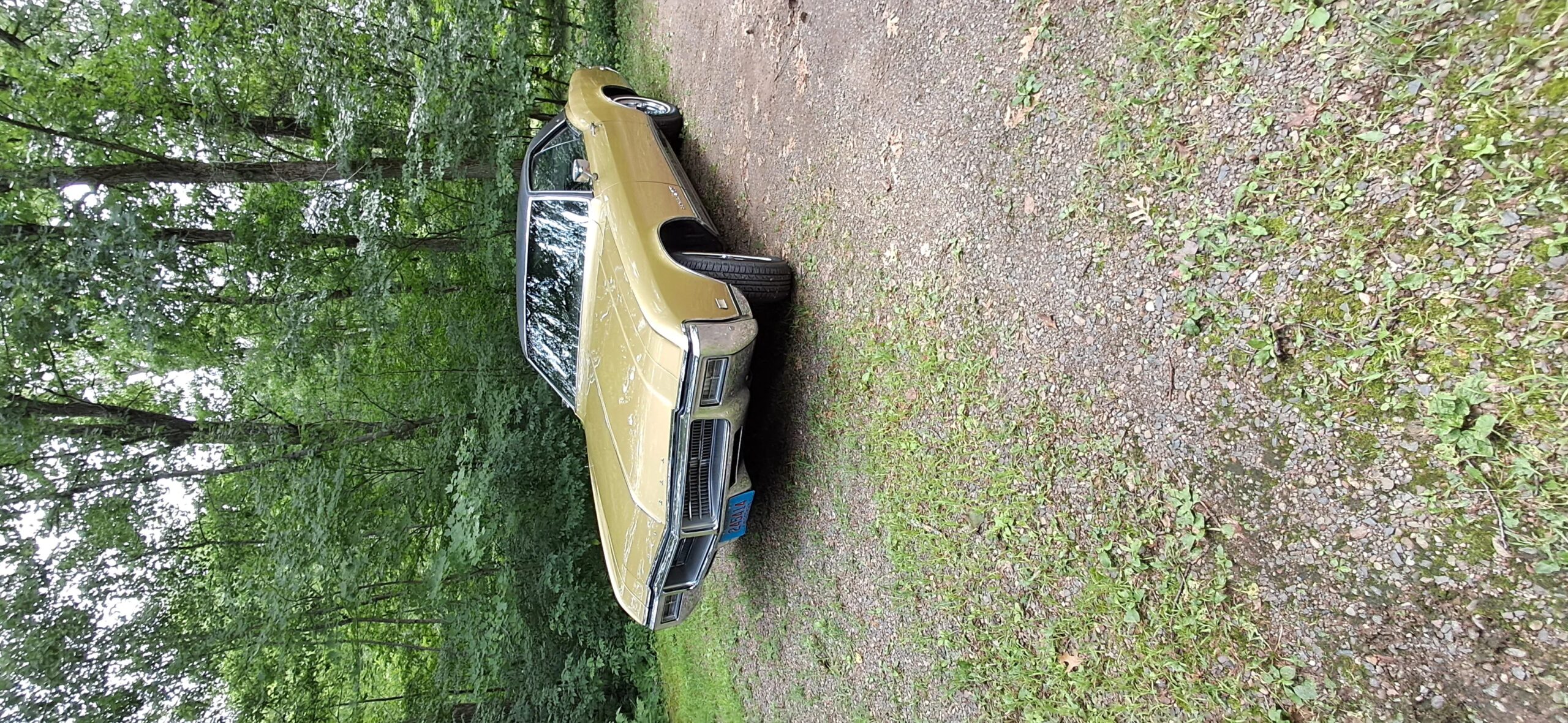 Buick-Riviera-gran-sport-1969-Gold-Black