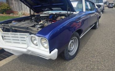 Buick-Skylark-1970-11