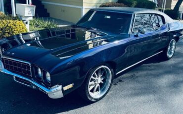 Buick-Skylark-1970-Blue-17
