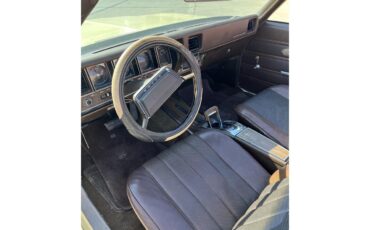Buick-Skylark-1970-Creme-Tan-13
