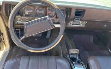 Buick-Skylark-1970-Creme-Tan-14