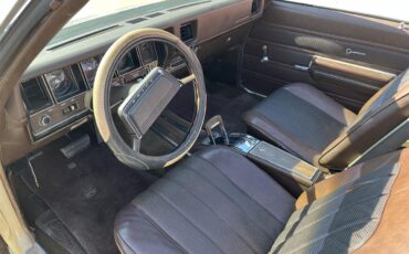 Buick-Skylark-1970-Creme-Tan-15