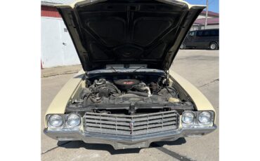 Buick-Skylark-1970-Creme-Tan-23