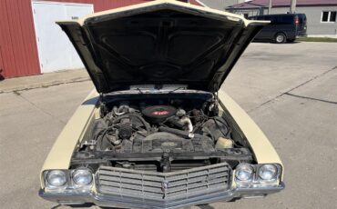 Buick-Skylark-1970-Creme-Tan-24