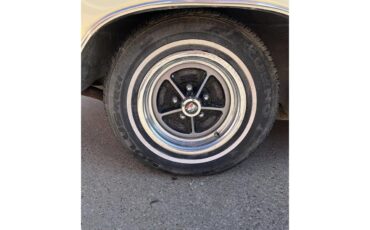 Buick-Skylark-1970-Creme-Tan-8