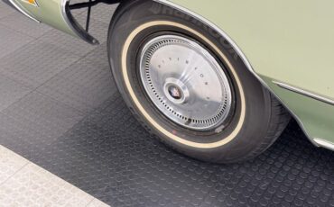 Buick-Skylark-1971-Silver-Fern-Green-10