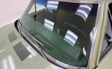 Buick-Skylark-1971-Silver-Fern-Green-11