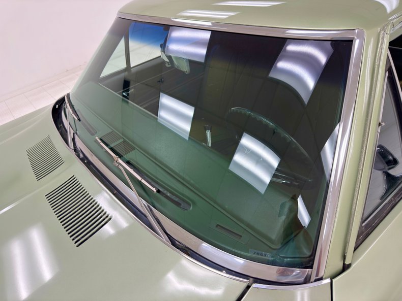 Buick-Skylark-1971-Silver-Fern-Green-11