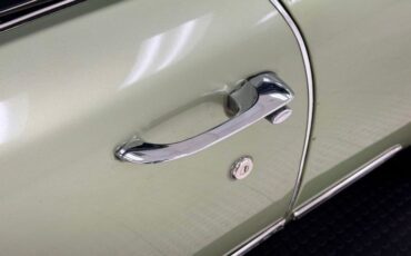 Buick-Skylark-1971-Silver-Fern-Green-12
