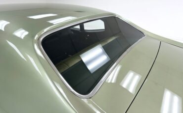 Buick-Skylark-1971-Silver-Fern-Green-13