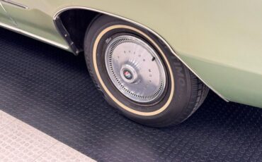 Buick-Skylark-1971-Silver-Fern-Green-14