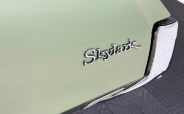 Buick-Skylark-1971-Silver-Fern-Green-15