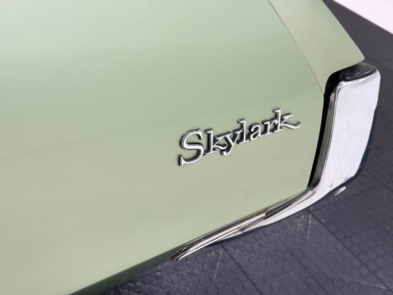 Buick-Skylark-1971-Silver-Fern-Green-15