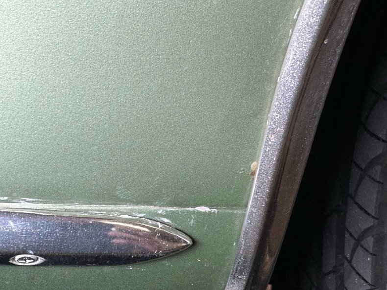 Buick-Skylark-1971-Silver-Fern-Green-20