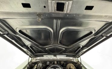 Buick-Skylark-1971-Silver-Fern-Green-25
