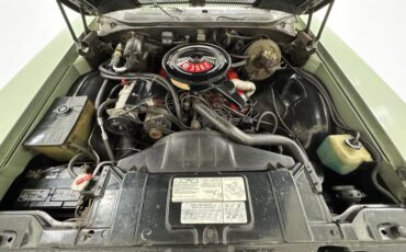 Buick-Skylark-1971-Silver-Fern-Green-27