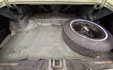 Buick-Skylark-1971-Silver-Fern-Green-30