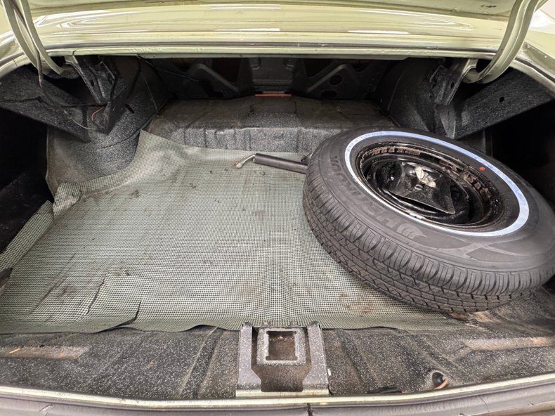 Buick-Skylark-1971-Silver-Fern-Green-30