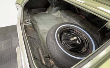 Buick-Skylark-1971-Silver-Fern-Green-31