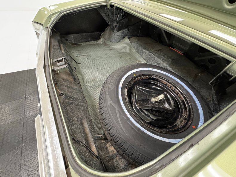 Buick-Skylark-1971-Silver-Fern-Green-31