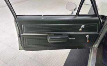 Buick-Skylark-1971-Silver-Fern-Green-32