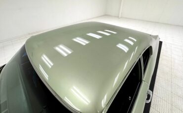 Buick-Skylark-1971-Silver-Fern-Green-38