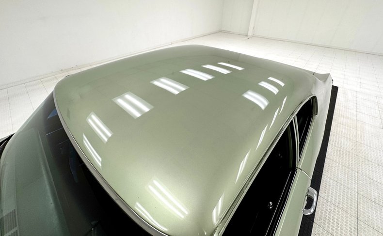 Buick-Skylark-1971-Silver-Fern-Green-38